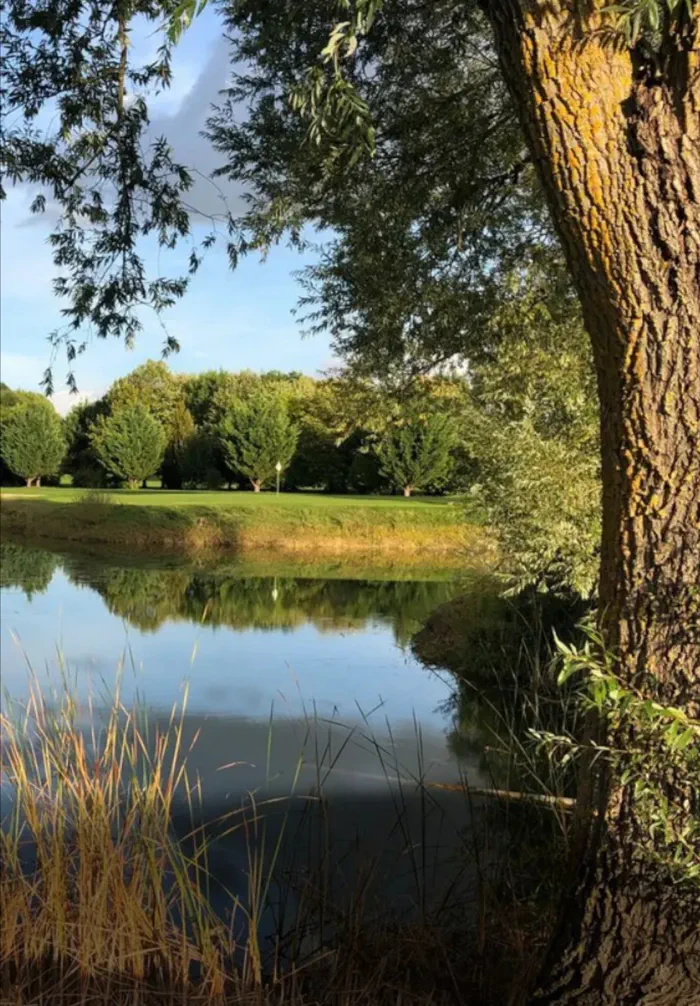 Lake lined with trees on the course